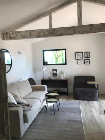 La Brindille Petit Mas Provencal Meuble De Tourisme 3 Etoiles 2-3 Personnes 1 Piece 30 M2 Tout Confort Lisiere Foret Jardin Jacuzzi Piscine Saint-Paul-en-Forêt Zewnętrze zdjęcie
