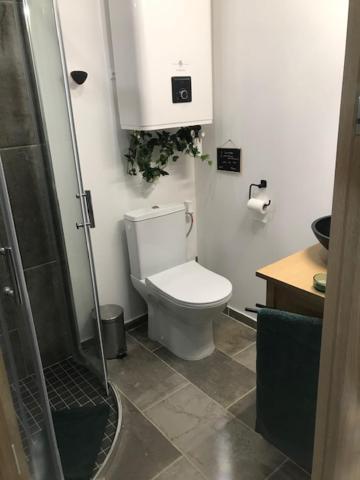 La Brindille Petit Mas Provencal Meuble De Tourisme 3 Etoiles 2-3 Personnes 1 Piece 30 M2 Tout Confort Lisiere Foret Jardin Jacuzzi Piscine Saint-Paul-en-Forêt Zewnętrze zdjęcie