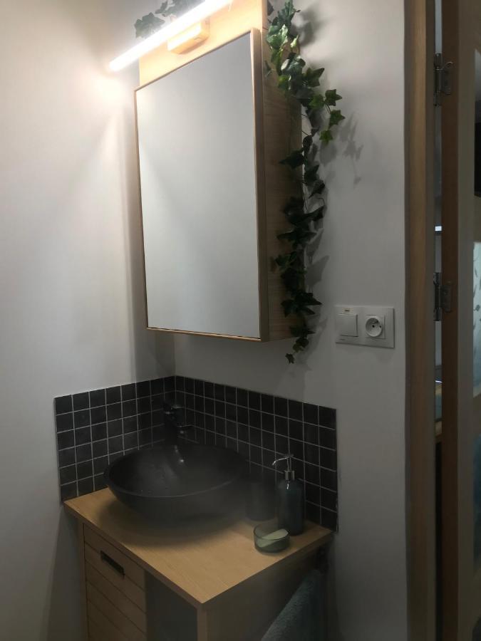 La Brindille Petit Mas Provencal Meuble De Tourisme 3 Etoiles 2-3 Personnes 1 Piece 30 M2 Tout Confort Lisiere Foret Jardin Jacuzzi Piscine Saint-Paul-en-Forêt Zewnętrze zdjęcie