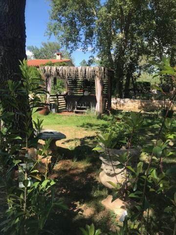 La Brindille Petit Mas Provencal Meuble De Tourisme 3 Etoiles 2-3 Personnes 1 Piece 30 M2 Tout Confort Lisiere Foret Jardin Jacuzzi Piscine Saint-Paul-en-Forêt Zewnętrze zdjęcie
